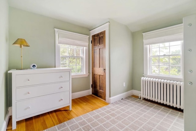 96 Nonantum St, Newton, MA 02458 - bedroom with radiator heating unit, light wood finished floors, and baseboards