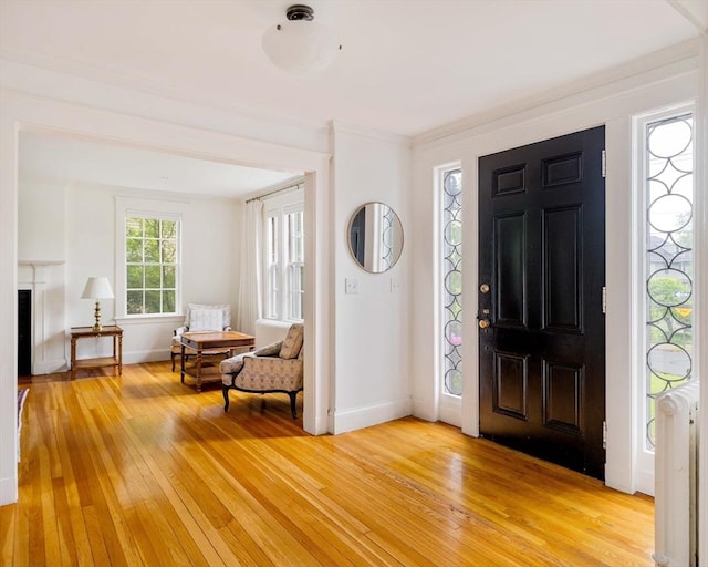 96 Nonantum St, Newton, MA 02458 - foyer featuring light wood-style flooring, baseboards, ornamental molding, and a fireplace