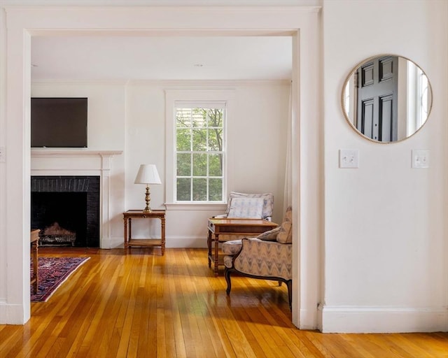 96 Nonantum St, Newton, MA 02458 - sitting room with wood-type flooring, baseboards, and a brick fireplace