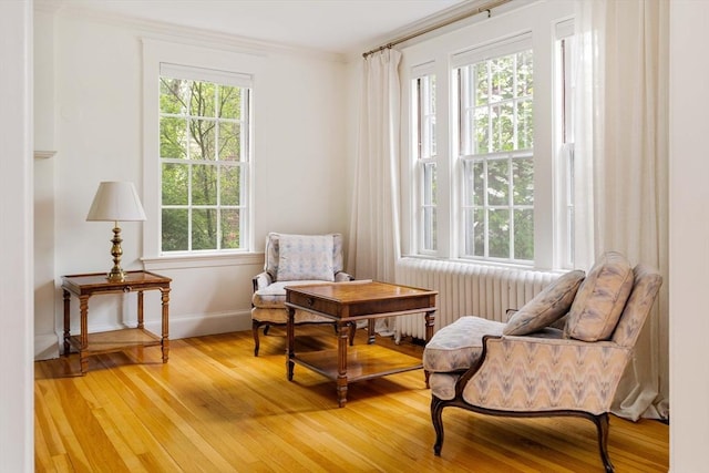 96 Nonantum St, Newton, MA 02458 - sitting room featuring radiator, plenty of natural light, light wood-style floors, and ornamental molding