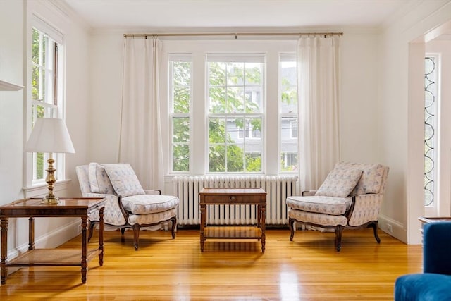 96 Nonantum St, Newton, MA 02458 - living area featuring radiator heating unit, light wood-style floors, ornamental molding, and baseboards