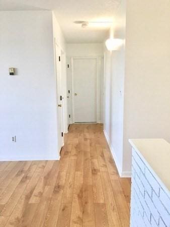 10 Williams St Unit 79, Watertown, MA 02472 - hallway featuring light wood-type flooring
