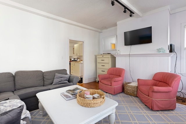 living room featuring crown molding, wood-type flooring, and rail lighting