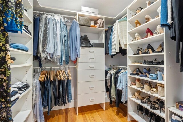 walk in closet featuring wood finished floors