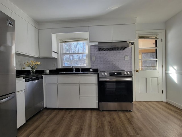 kitchen featuring dark countertops, ventilation hood, appliances with stainless steel finishes, and a sink