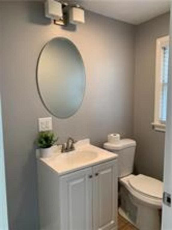 bathroom with toilet and vanity