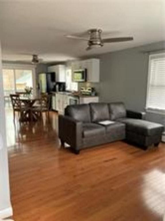 living room featuring ceiling fan and wood finished floors