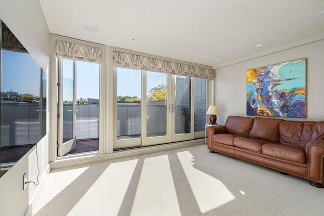 living area with carpet