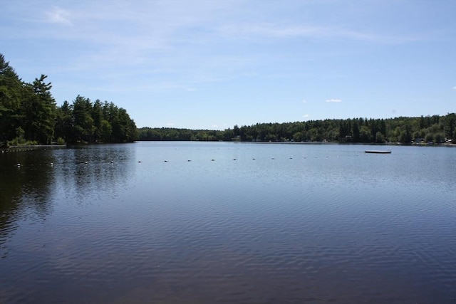 5 Lazy Day Dr Unit 5, Westford, MA 01886 - view of water feature featuring a wooded view