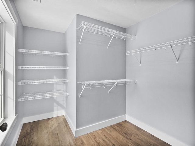 walk in closet with hardwood / wood-style floors