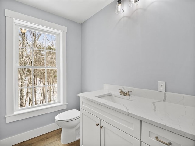 bathroom featuring vanity, toilet, and hardwood / wood-style floors