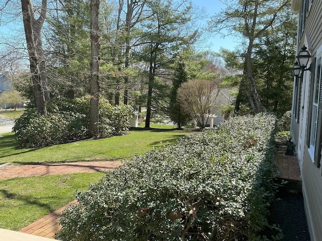 view of yard