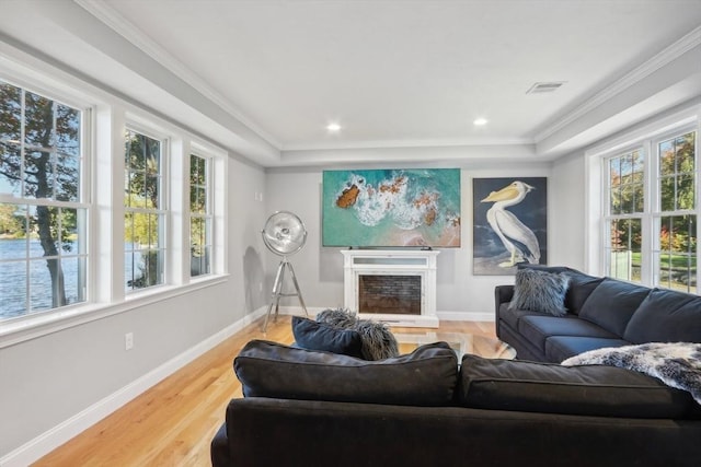 living room with a fireplace, visible vents, baseboards, and a tray ceiling