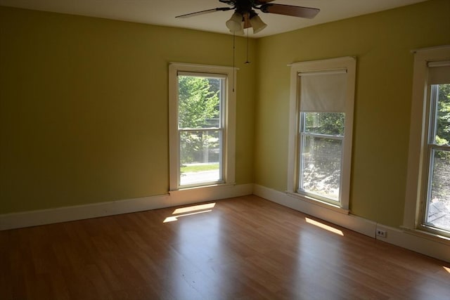 19 Noble Ave, Westfield, MA 01085 - spare room with a ceiling fan, healthy amount of natural light, and wood finished floors