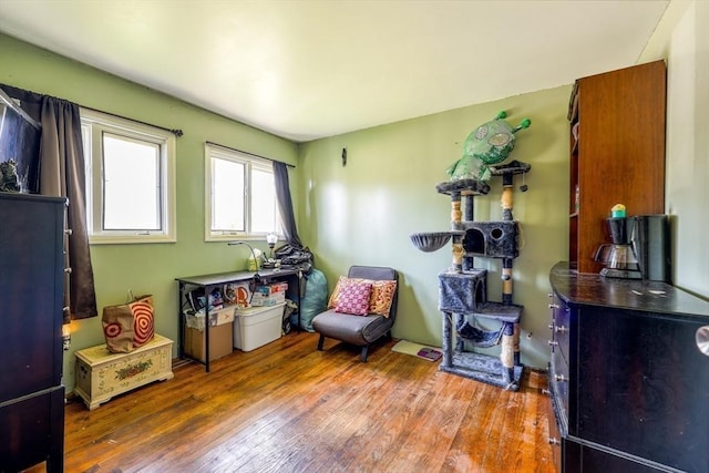 8 High St, Granby, MA 01033 - living area with hardwood / wood-style floors