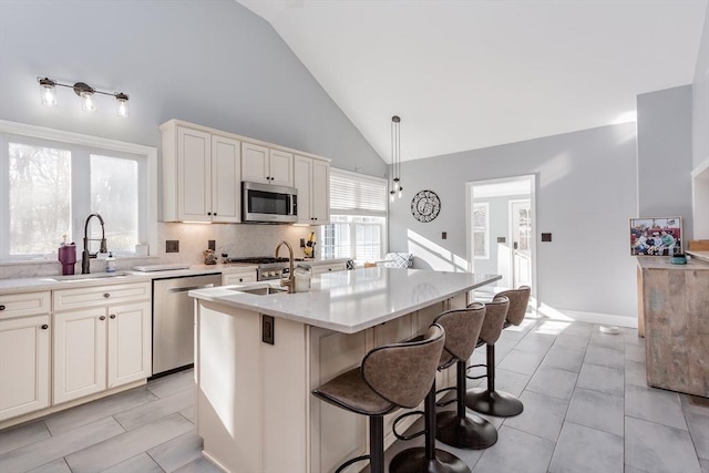 kitchen featuring sink, appliances with stainless steel finishes, a center island with sink, and a healthy amount of sunlight