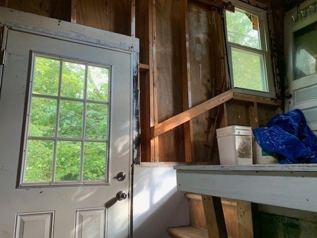 doorway featuring a wealth of natural light