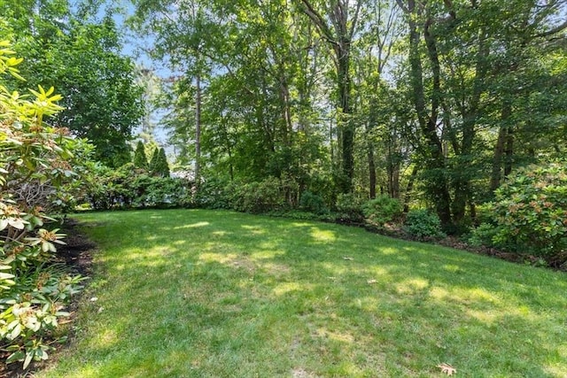 12 Whitcomb Ln, Hingham, MA 02043 - view of grassy yard