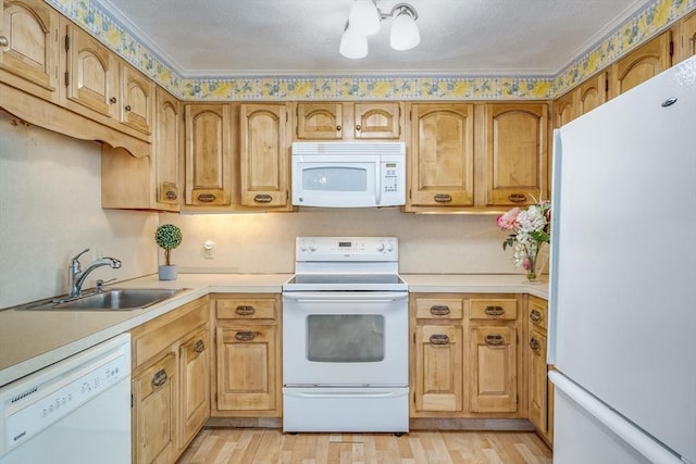 33 Highview Dr Unit 33, Sandwich, MA 02563 - kitchen with crown molding, a sink, light countertops, white appliances, and light wood-style flooring