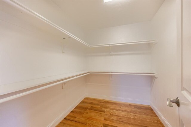 10 Chase Lndg Unit B, Easton, MA 02375 - view of pantry