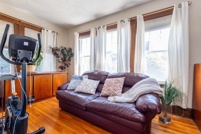 living room featuring light wood-type flooring