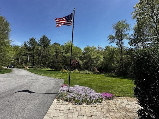 view of asphalt road featuring a wooded view