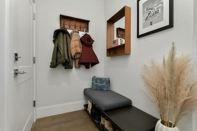 mudroom featuring dark wood-type flooring