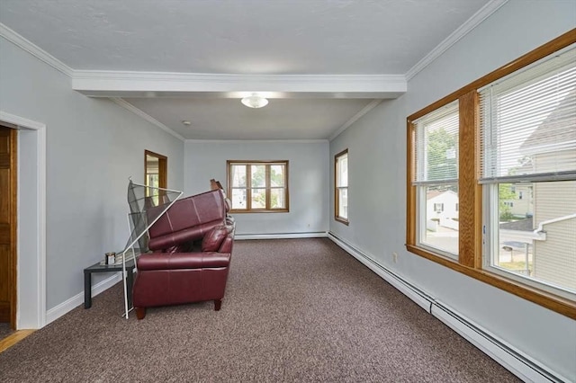 15 Hamilton St, Boston, MA 02136 - living area featuring dark colored carpet, ornamental molding, and a baseboard heating unit