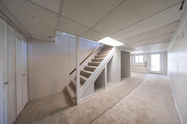 below grade area with stairway, carpet flooring, and a paneled ceiling