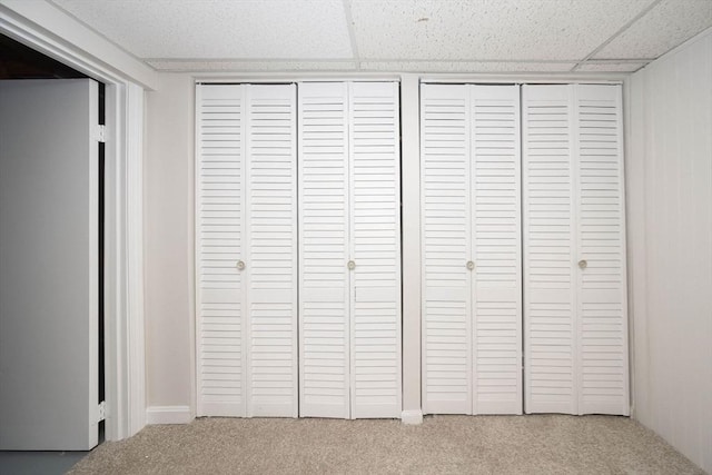 details featuring a paneled ceiling and carpet floors