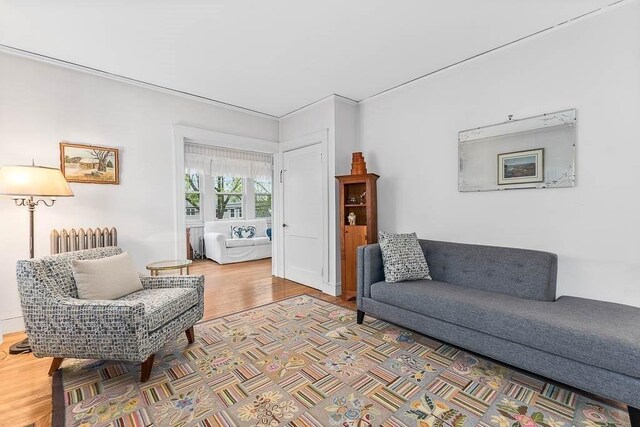 86 Glencoe St Unit 86, Boston, MA 02135 - living room with radiator and wood finished floors