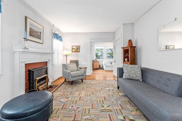 86 Glencoe St Unit 86, Boston, MA 02135 - living room featuring a fireplace, ornamental molding, wood finished floors, and radiator