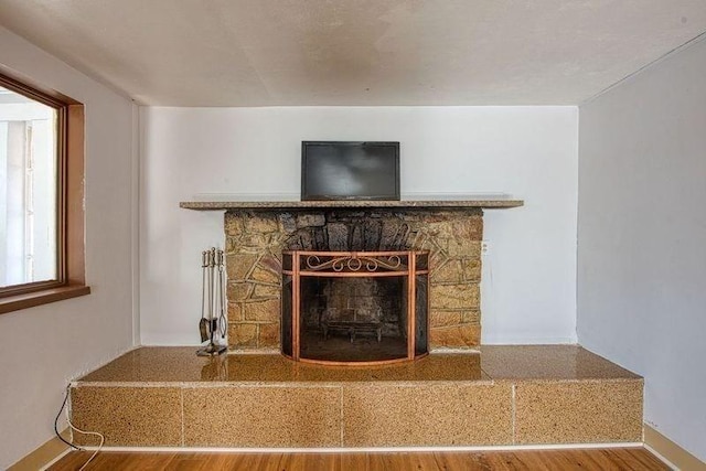 room details featuring hardwood / wood-style flooring and a fireplace