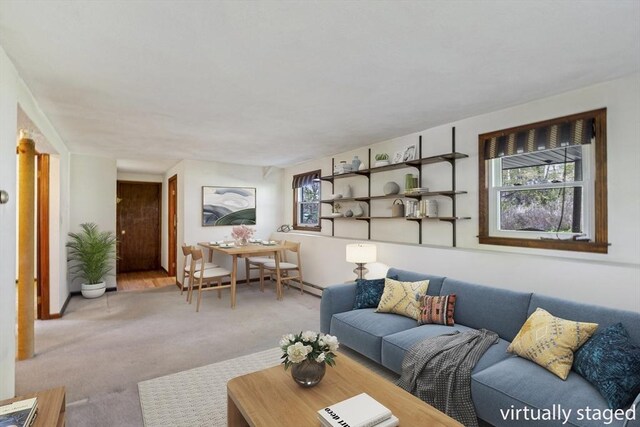 62 Brook St, Wakefield, MA 01880 - living room featuring carpet