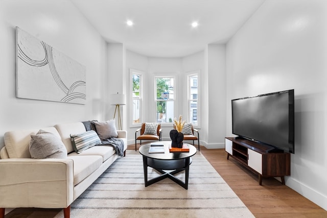 living room featuring light hardwood / wood-style floors