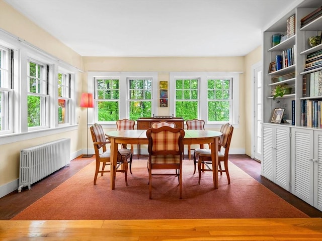 sunroom / solarium featuring radiator
