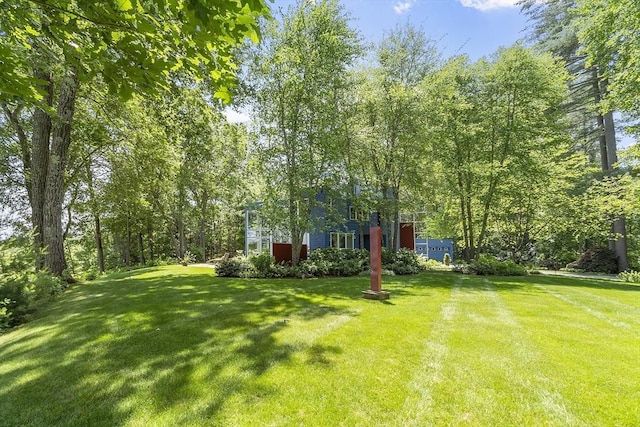 389 River Rd, Carlisle, MA 01741 - view of grassy yard