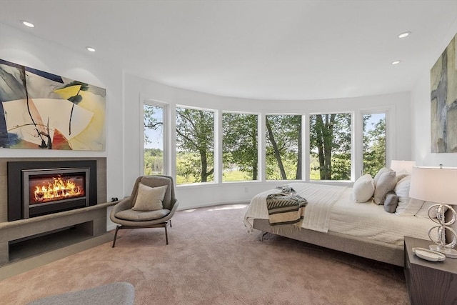 389 River Rd, Carlisle, MA 01741 - carpeted bedroom featuring a glass covered fireplace and recessed lighting