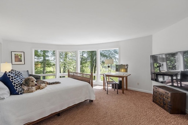 389 River Rd, Carlisle, MA 01741 - bedroom featuring carpet floors and baseboards