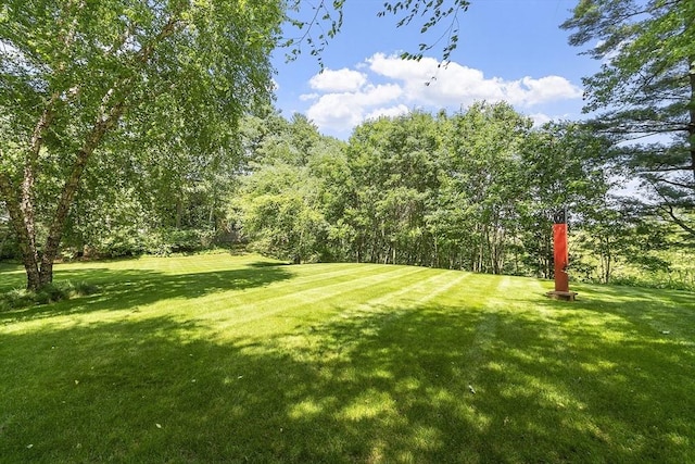 389 River Rd, Carlisle, MA 01741 - view of green lawn