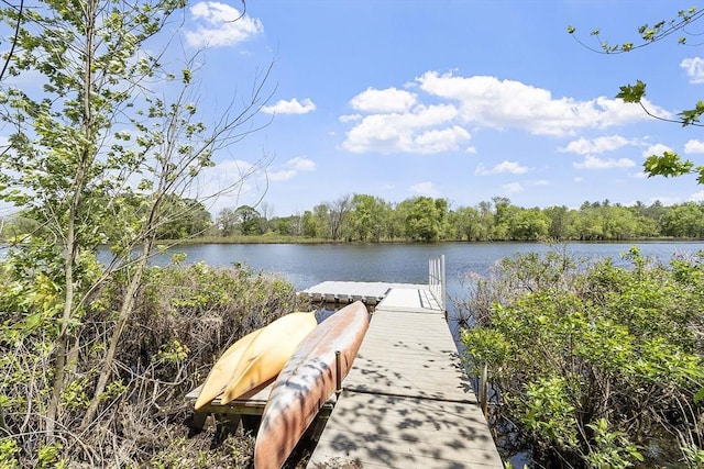 389 River Rd, Carlisle, MA 01741 - dock featuring a water view