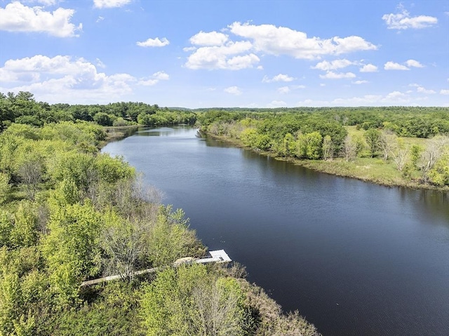 389 River Rd, Carlisle, MA 01741 - water view with a forest
