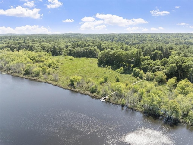 389 River Rd, Carlisle, MA 01741 - drone / aerial view of a heavily wooded area and a large body of water