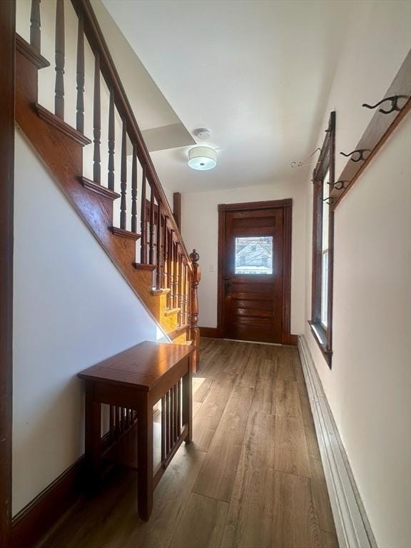 entryway featuring wood-type flooring