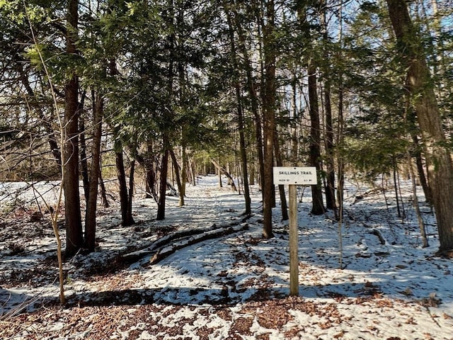 view of snow covered land