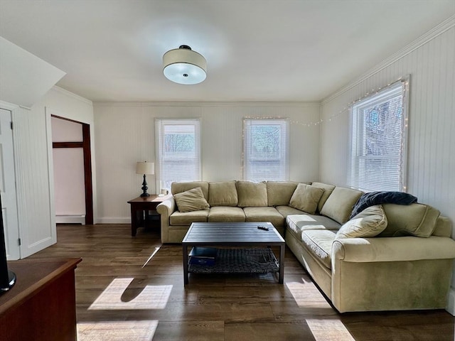 living room featuring crown molding, dark wood-type flooring, and baseboard heating