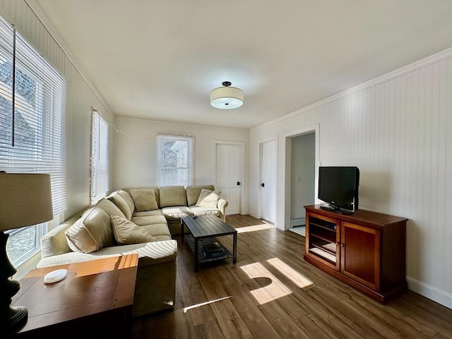 living room with dark hardwood / wood-style flooring, crown molding, and a baseboard radiator