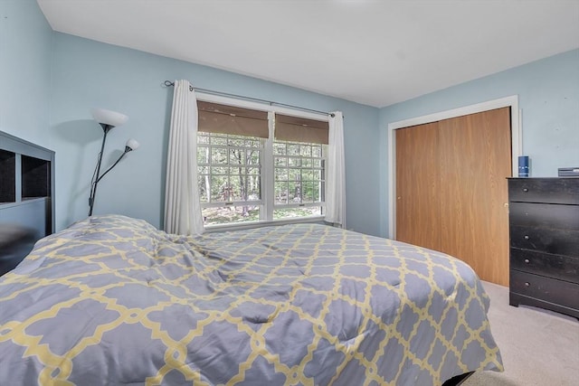 bedroom featuring carpet and a closet