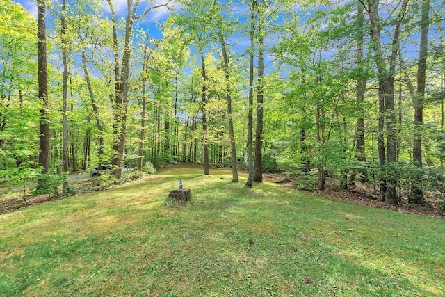 view of grassy yard featuring a view of trees