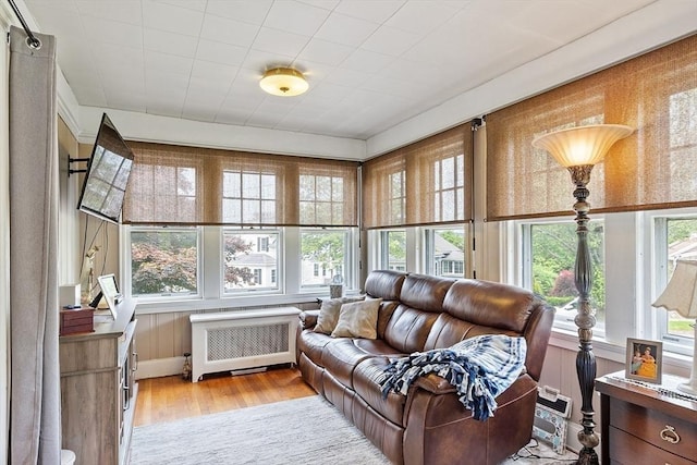 75 Hillcroft Ave, Worcester, MA 01606 - sunroom / solarium featuring radiator heating unit and wood finished floors